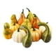 thumbnail image 3 of Calabazas De Espuma DIY Decoración Simulación Halloween Para Mesa De Comedor 12 Piezas Multicolor, 3 of 5