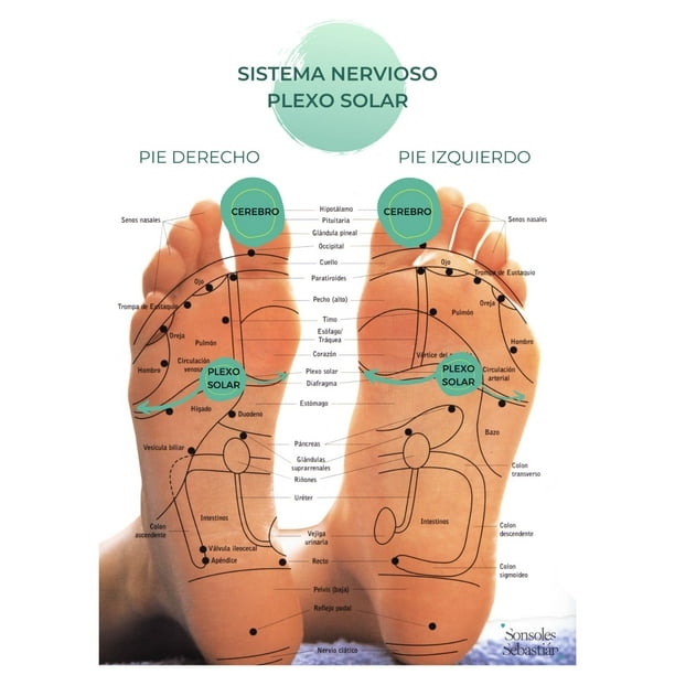 glándula pineal como hacer masajes en los pies para dormir