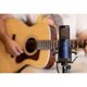 thumbnail image 2 of Micrófono dinámico M80 Cherry de TELEFUNKEN, 2 of 3
