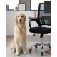 thumbnail image 3 of Silla de Oficina Giratoria con Malla y Base de Acero Cromado, 3 of 6