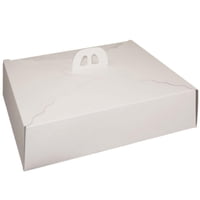 Genérico - Pack 5 Caja Torta Rectangular 45X35X12 Cm Blanco