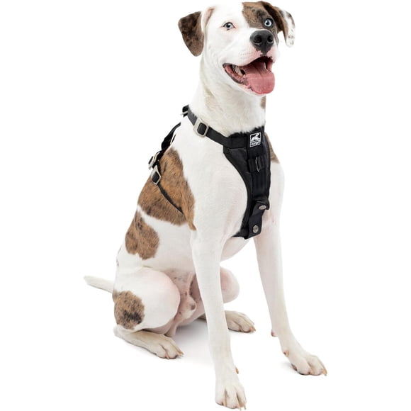 Kurgo Enhanced Strength TruFit Smart Harness, Black, Medium
