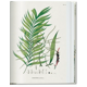 thumbnail image 5 of 40 - Martius. El libro de las Palmeras, 5 of 7