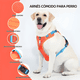 thumbnail image 3 of Arnés pechera reflectante para perros con correa, 3 of 3