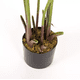 thumbnail image 3 of Planta Artificial 1.15m con Maceta, 3 of 3