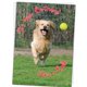 thumbnail image 5 of Tarjeta de cumpleaños Glory To Dog Golden Retriever, 5 of 9