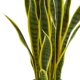 thumbnail image 2 of Planta de seda artificial casi natural Sansevieria de 66 cm, color verde, 2 of 6