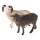 thumbnail image 2 of Figuras De Animales De Plástico Realistas Modelo De Simulación Bighorn Sheep + Black Goat, 2 of 5