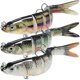thumbnail image 1 of Señuelos de pesca TRUSCEND con múltiples articulaciones para lubina y trucha, 1 of 8