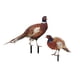 thumbnail image 5 of Escultura De Faisán Estaca Acrílica Para Patio Decoración De Suelo Regalos Adornos De Paisaje Estacas De Animales Para Patio Jardín Y Exteriores Ab, 5 of 5