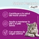 thumbnail image 3 of Alimento Húmedo Gato Adulto Jelly Sabor Pescado Pouch, 85 g, 3 of 8