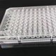 thumbnail image 2 of Placa de cultivo Scienfocus Lab de 96 pozos con tapa (10 unidades), 2 of 7