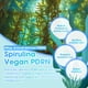 thumbnail image 5 of Primer Stick SOME BY MI PDRN Espirulina sin poros, 10 g, 5 of 8