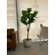 thumbnail image 2 of Planta Artificial Ficus Lyrata Premium 180 cm. / 88 Hojas, 2 of 6