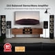 thumbnail image 2 of Amplificador Fosi Audio ZA3 235W Balanceado XLR RCA, 2 of 3