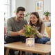 thumbnail image 3 of Planta Artificial Decorativa LED Adorno Moderno Hogar Jhn, 3 of 3