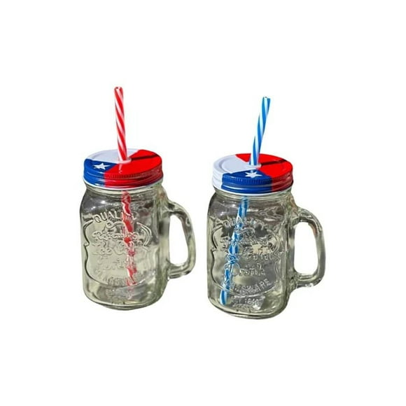 Paquete 48 Jarra FIiestas Patrias Terremoto De 500 ml