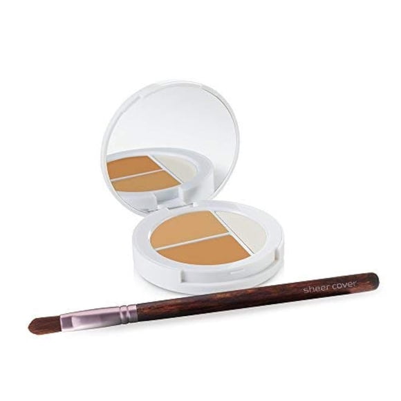 Conceal and Brighten Highlight Trio Sheer Cover Studio