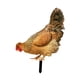 thumbnail image 1 of Estatuilla Acrílica De Decoración De Estacas De Jardín Con Forma De Gallina Para Jardín, Porche, Camino, Estilo B, 1 of 5