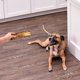 thumbnail image 2 of Hueso Natural Ol Roy Costilla de Res 1 Unidad Perro, 2 of 3