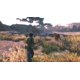thumbnail image 4 of Videojuego Cabela's African Adventures para Wii - ACTIVISION, 4 of 4