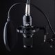 thumbnail image 2 of Micrófono Streaming Vipera MC1200 USB Soporte flexible, 2 of 4