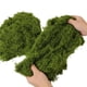 thumbnail image 2 of Musgo artificial caiyjhao 100 g verde oscuro – Manualidades, 2 of 7