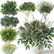 thumbnail image 1 of Ramas Artificiales de Eucalipto Hananona, 1 of 3