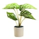 thumbnail image 1 of Plantas artificiales, plantas artificiales en maceta, decoración del hogar, 1 of 5