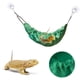 thumbnail image 1 of 2 Paquete Reptología Lagarto Hamaca Con Succiones Barbuda Dragon Tank Accesorios Reptil Tumba Para Camaleón Serpientes Hámster, 1 of 3