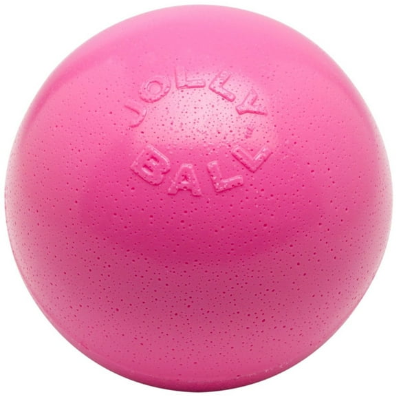 Pelota de juguete para perros Jolly Pets Bounce-n-Play de 8 pulgadas, rosa