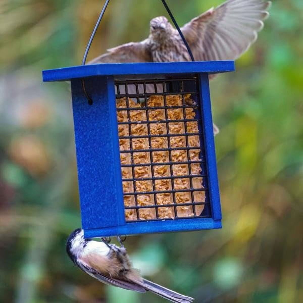 Alimentador para Pájaros en Azul de Plástico Reciclado Birds Choice