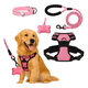 thumbnail image 1 of Set arnés correa collar porta GPS, 1 of 3