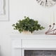 thumbnail image 3 of Planta de seda, hiedra casi natural, con maceta blanca, 3 of 4