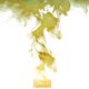 thumbnail image 5 of Tableta de baño ManuFeifei Natural con azufre orgánico y termal Spring, 6 unidades, 5 of 6