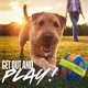 thumbnail image 3 of Pelota Nerf Dog Giggle Ball 5in Juguete Interactivo Perro, 3 of 3