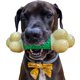 thumbnail image 1 of Juguete para masticar Nylabone Power Chew, barra de doble acción, tamaño XL, 1 of 9