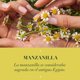 thumbnail image 4 of Acondicionador Herbal Essences Classic Shine Chamomile, 4 of 6