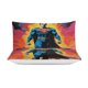 thumbnail image 4 of Superman Bedding Sets Ultra Soft Skin-Friendly Duvet Cover 3 Piece, Cute Comforter Cover Bed Set for Boys Girls Kids, 4 of 5