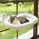 thumbnail image 1 of Hamaca de Ventana para Gatos AMOSIJOY CWPLGREY, 23.3 in, 40 lb, 1 of 3
