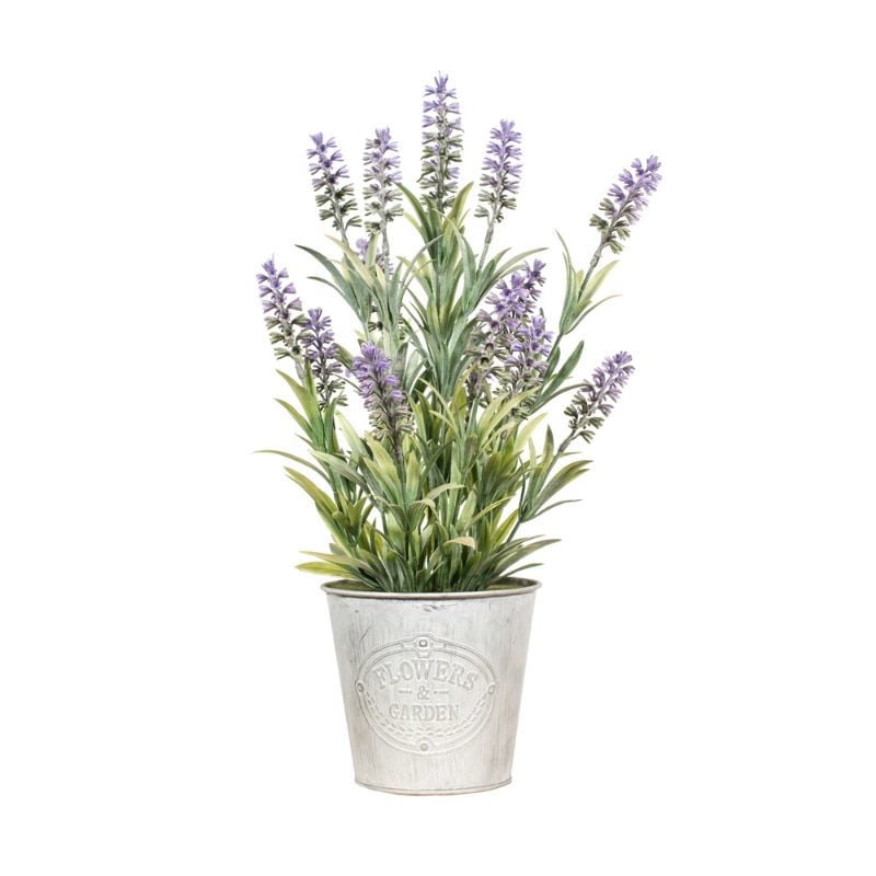 The Garden - Planta Decorativa Lavanda 40 Cm