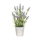 thumbnail image 1 of Planta Decorativa Lavanda 40 cm, 1 of 1