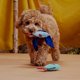 thumbnail image 4 of Set de peluche para perros Bark Trout Twins, 4 of 4