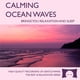 thumbnail image 1 of Sonidos de la Naturaleza – The Rhythm Tree – CD de Olas del Océano, 1 of 9
