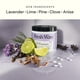 thumbnail image 2 of Gel eliminador de olores Fresh Wave Lavender, 450 ml, paquete de 2, 2 of 8