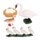 thumbnail image 2 of Animales Realistas Ciclo De Vida Modelo Ciclo De Crecimiento De Juguete Juguetes Para Ni?os Cisne Blanco, 2 of 5