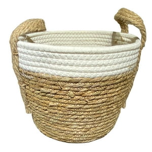 Vgo - Canasto Seagrass