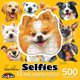 thumbnail image 1 of Rompecabezas RoseArt con forma de miniselfie con forma de perro, 500 piezas, 1 of 8
