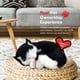 thumbnail image 5 of Juguete interactivo para mascotas de peluche 88 Unlimited Original Petzzz, 5 of 8