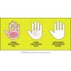 thumbnail image 4 of Gel desinfectante para manos Lemyn Organics de grado médico, 60 ml (x6), 4 of 9